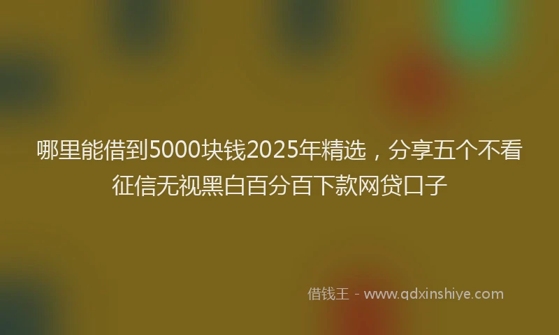 哪里能借到5000块钱2025年精选，分享五个不看征信无视黑白百分百下款网贷口子