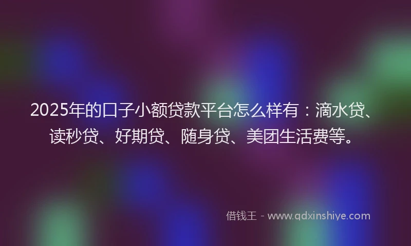 2025年的口子小额贷款平台怎么样有：滴水贷、读秒贷、好期贷、随身贷、美团生活费等。