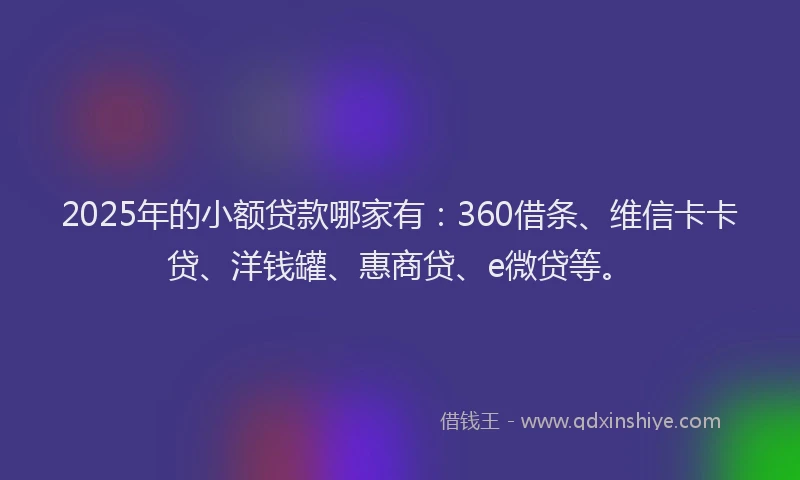 2025年的小额贷款哪家有：360借条、维信卡卡贷、洋钱罐、惠商贷、e微贷等。