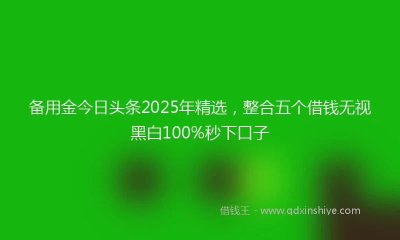备用金今日头条2025年精选，整合五个借钱无视黑白100%秒下口子
