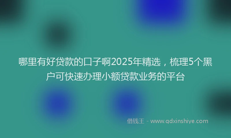 哪里有好贷款的口子啊2025年精选，梳理5个黑户可快速办理小额贷款业务的平台