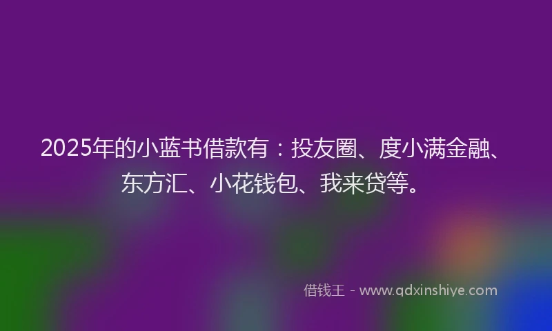 2025年的小蓝书借款有：投友圈、度小满金融、东方汇、小花钱包、我来贷等。