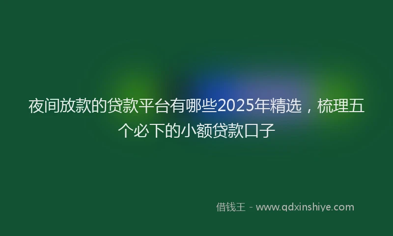 夜间放款的贷款平台有哪些2025年精选，梳理五个必下的小额贷款口子