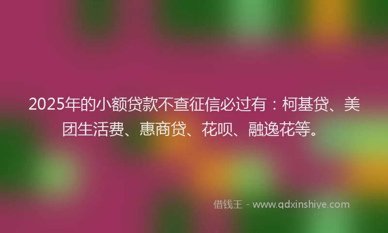 2025年的小额贷款不查征信必过有：柯基贷、美团生活费、惠商贷、花呗、融逸花等。