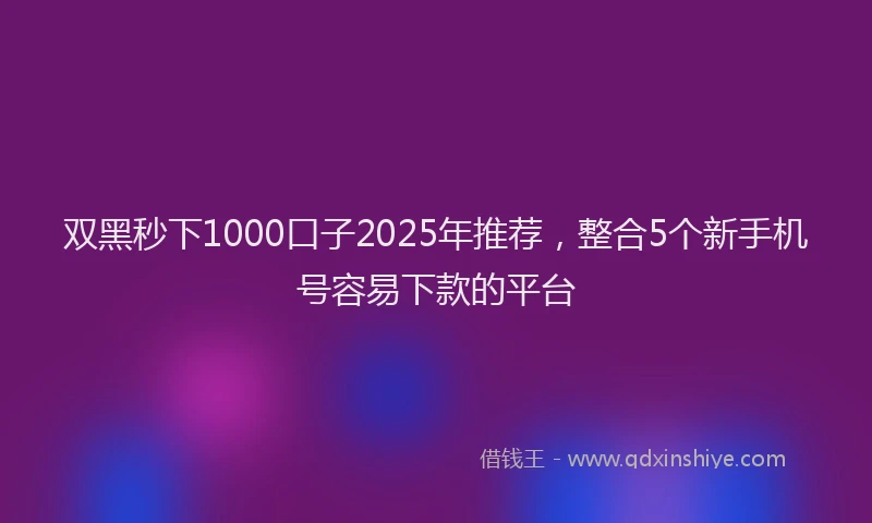 双黑秒下1000口子2025年推荐，整合5个新手机号容易下款的平台