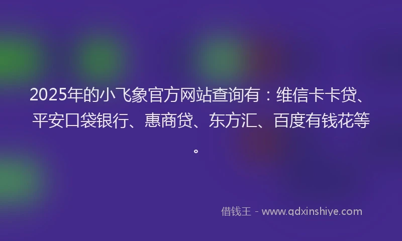 2025年的小飞象官方网站查询有：维信卡卡贷、平安口袋银行、惠商贷、东方汇、百度有钱花等。