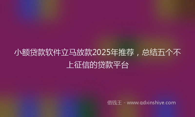 小额贷款软件立马放款2025年推荐，总结五个不上征信的贷款平台
