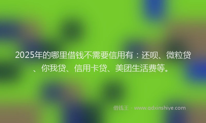 2025年的哪里借钱不需要信用有：还呗、微粒贷、你我贷、信用卡贷、美团生活费等。