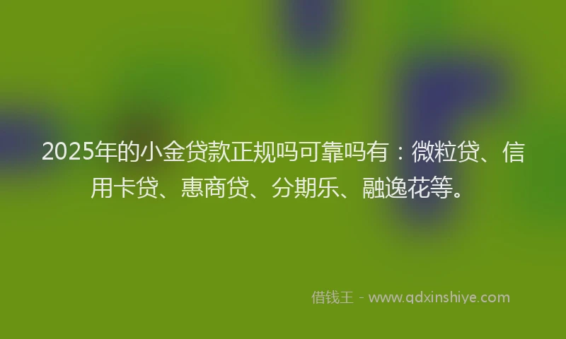 2025年的小金贷款正规吗可靠吗有：微粒贷、信用卡贷、惠商贷、分期乐、融逸花等。