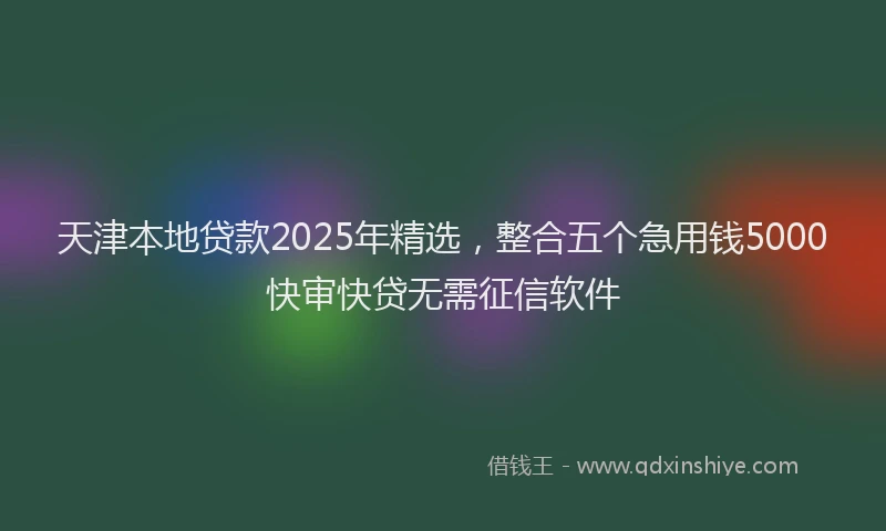 天津本地贷款2025年精选，整合五个急用钱5000快审快贷无需征信软件