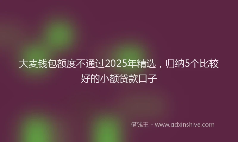 大麦钱包额度不通过2025年精选，归纳5个比较好的小额贷款口子