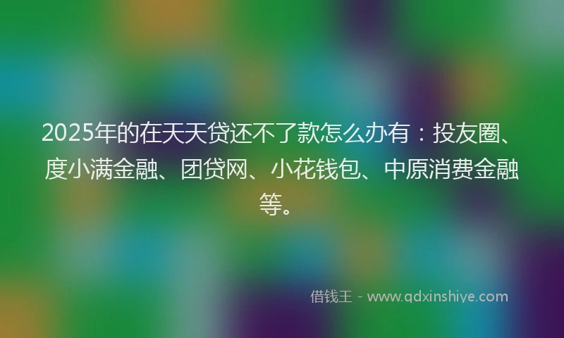 2025年的在天天贷还不了款怎么办有：投友圈、度小满金融、团贷网、小花钱包、中原消费金融等。