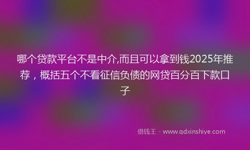 哪个贷款平台不是中介,而且可以拿到钱2025年推荐，概括五个不看征信负债的网贷百分百下款口子