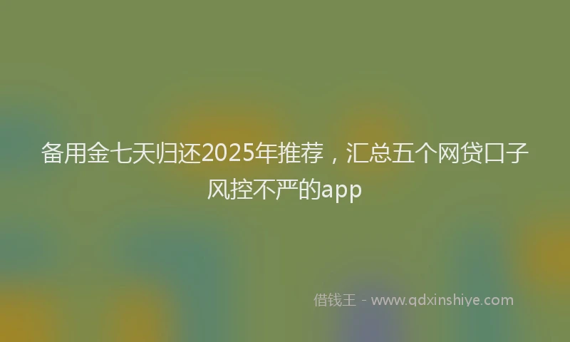 备用金七天归还2025年推荐，汇总五个网贷口子风控不严的app