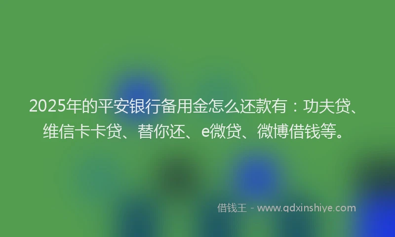 2025年的平安银行备用金怎么还款有：功夫贷、维信卡卡贷、替你还、e微贷、微博借钱等。