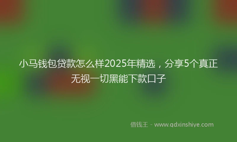 小马钱包贷款怎么样2025年精选，分享5个真正无视一切黑能下款口子