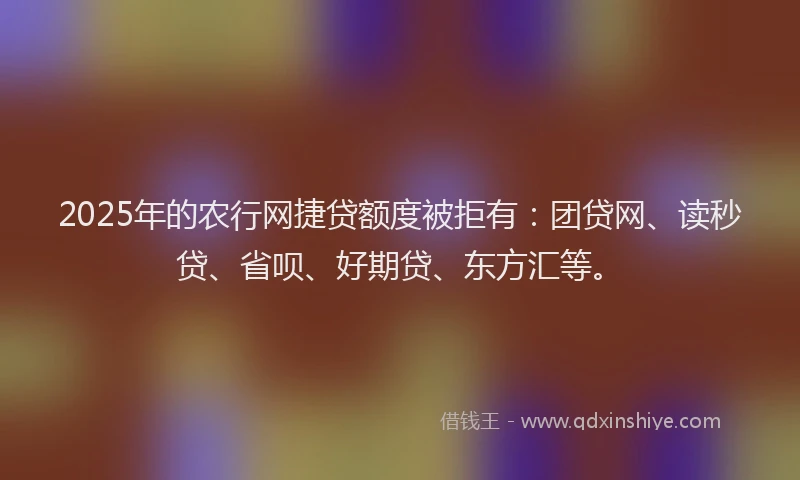 2025年的农行网捷贷额度被拒有：团贷网、读秒贷、省呗、好期贷、东方汇等。