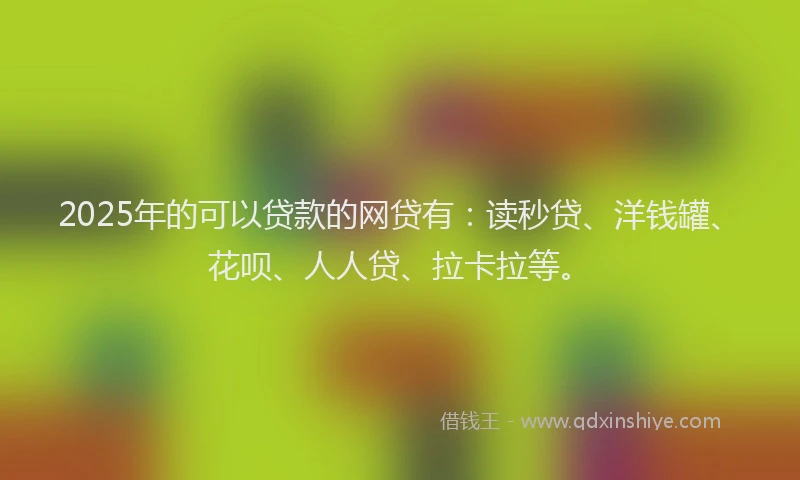 2025年的可以贷款的网贷有：读秒贷、洋钱罐、花呗、人人贷、拉卡拉等。