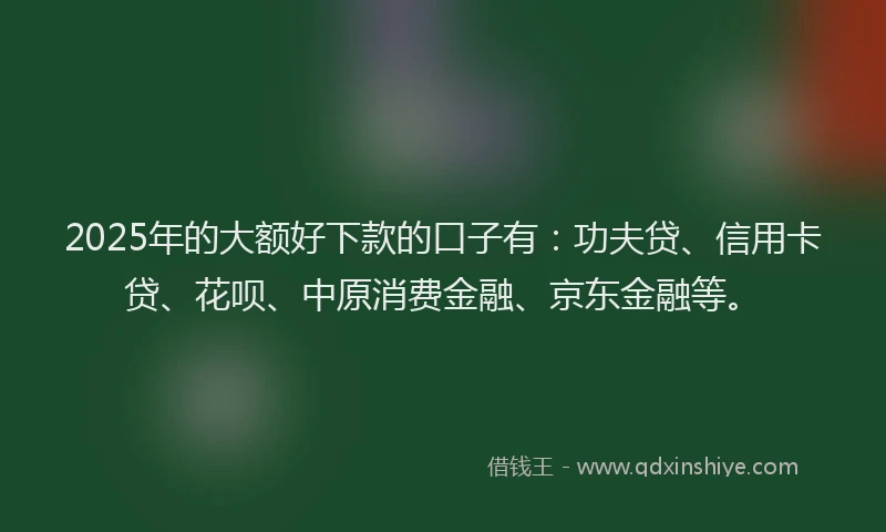 2025年的大额好下款的口子有：功夫贷、信用卡贷、花呗、中原消费金融、京东金融等。