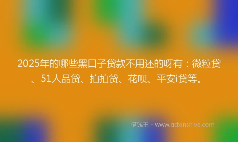 2025年的哪些黑口子贷款不用还的呀有：微粒贷、51人品贷、拍拍贷、花呗、平安i贷等。