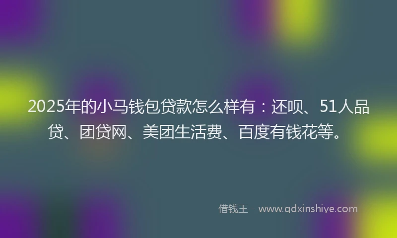 2025年的小马钱包贷款怎么样有：还呗、51人品贷、团贷网、美团生活费、百度有钱花等。