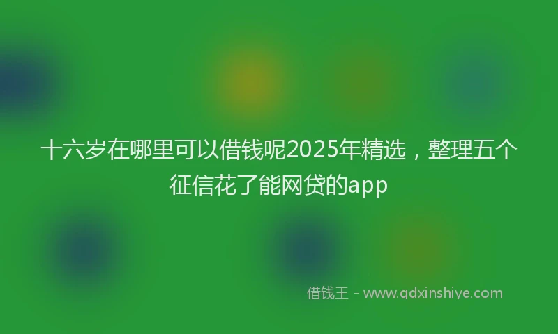 十六岁在哪里可以借钱呢2025年精选，整理五个征信花了能网贷的app