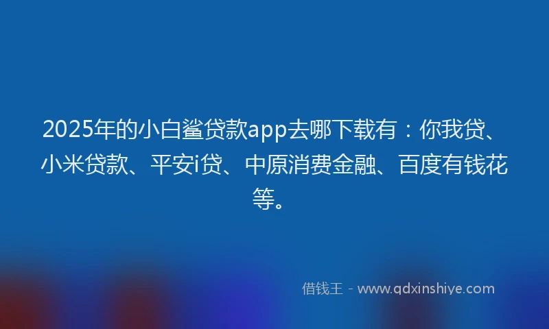 2025年的小白鲨贷款app去哪下载有：你我贷、小米贷款、平安i贷、中原消费金融、百度有钱花等。