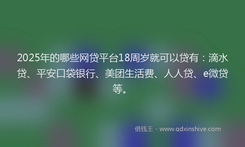 2025年的哪些网贷平台18周岁就可以贷有：滴水贷、平安口袋银行、美团生活费、人人贷、e微贷等。