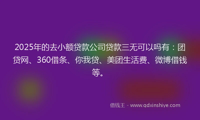 2025年的去小额贷款公司贷款三无可以吗有：团贷网、360借条、你我贷、美团生活费、微博借钱等。