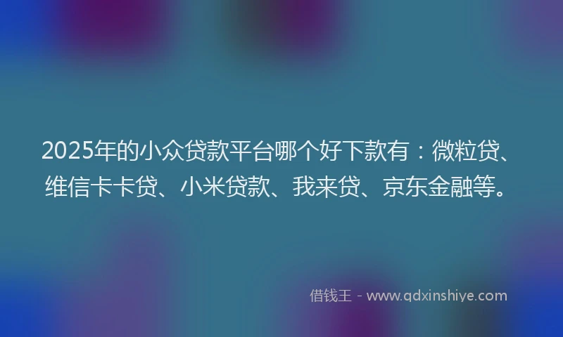 2025年的小众贷款平台哪个好下款有：微粒贷、维信卡卡贷、小米贷款、我来贷、京东金融等。