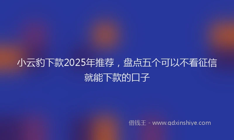 小云豹下款2025年推荐，盘点五个可以不看征信就能下款的口子