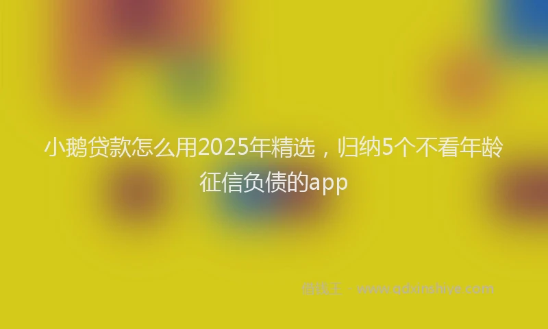 小鹅贷款怎么用2025年精选，归纳5个不看年龄征信负债的app