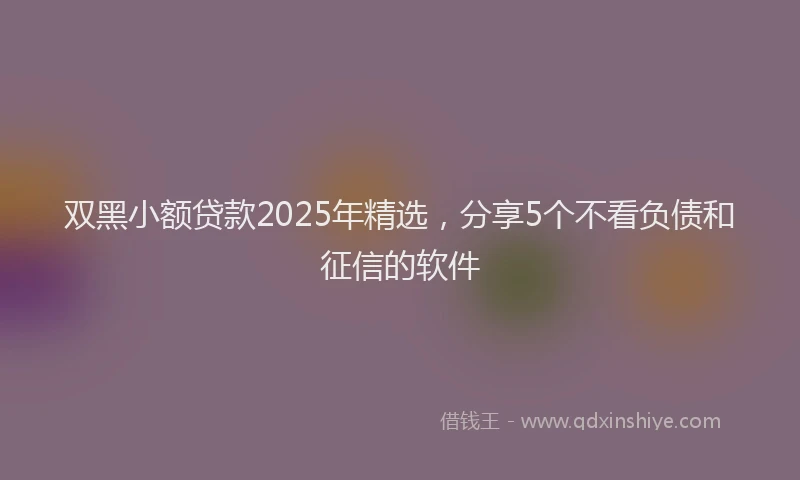 双黑小额贷款2025年精选，分享5个不看负债和征信的软件