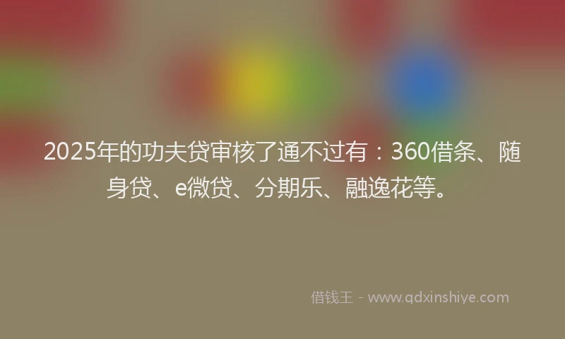 2025年的功夫贷审核了通不过有：360借条、随身贷、e微贷、分期乐、融逸花等。