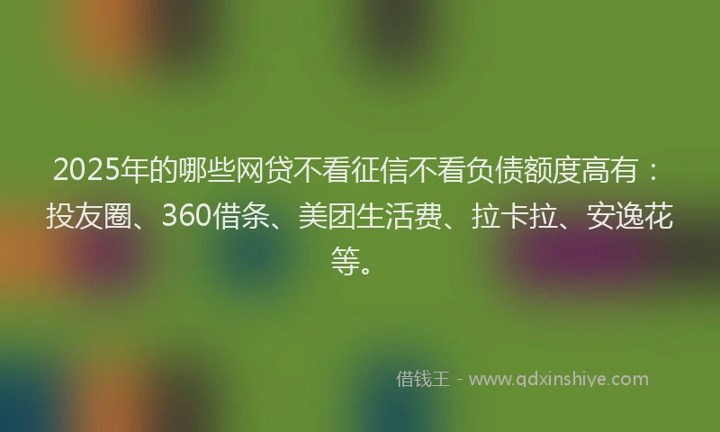 2025年的哪些网贷不看征信不看负债额度高有：投友圈、360借条、美团生活费、拉卡拉、安逸花等。