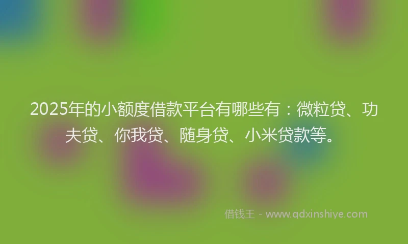2025年的小额度借款平台有哪些有：微粒贷、功夫贷、你我贷、随身贷、小米贷款等。