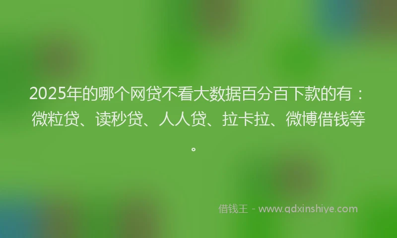 2025年的哪个网贷不看大数据百分百下款的有：微粒贷、读秒贷、人人贷、拉卡拉、微博借钱等。
