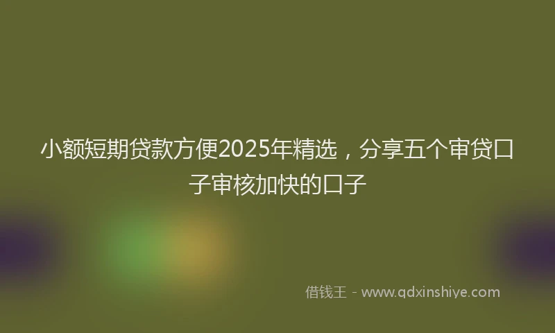 小额短期贷款方便2025年精选，分享五个审贷口子审核加快的口子