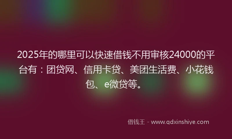 2025年的哪里可以快速借钱不用审核24000的平台有：团贷网、信用卡贷、美团生活费、小花钱包、e微贷等。