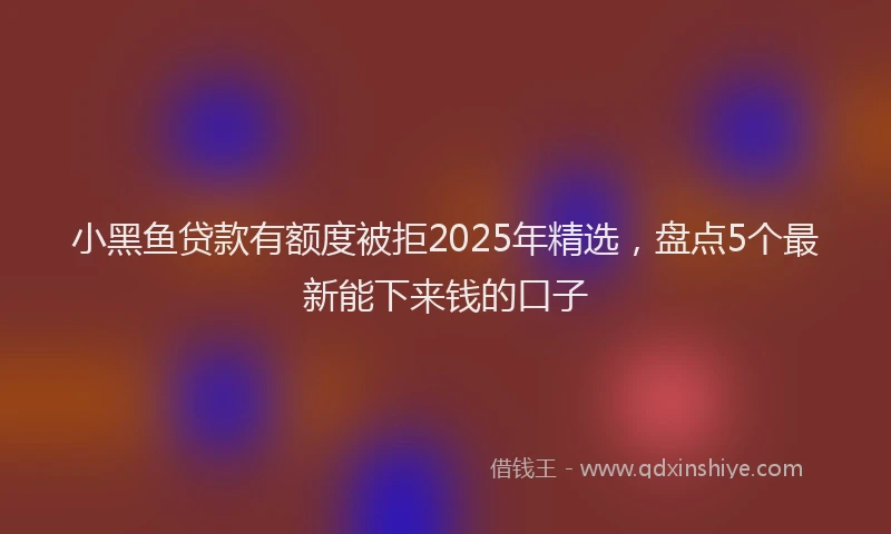 小黑鱼贷款有额度被拒2025年精选，盘点5个最新能下来钱的口子