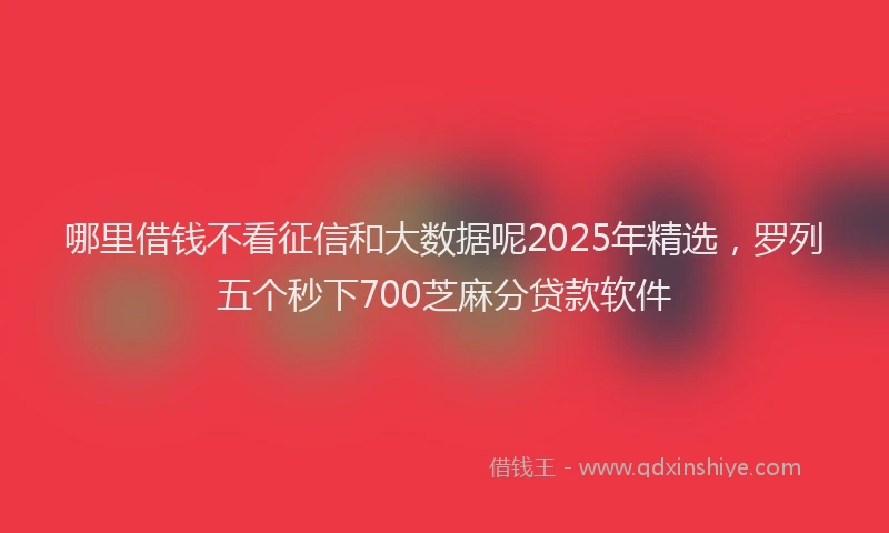 哪里借钱不看征信和大数据呢2025年精选，罗列五个秒下700芝麻分贷款软件