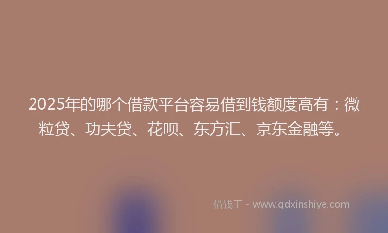 2025年的哪个借款平台容易借到钱额度高有：微粒贷、功夫贷、花呗、东方汇、京东金融等。