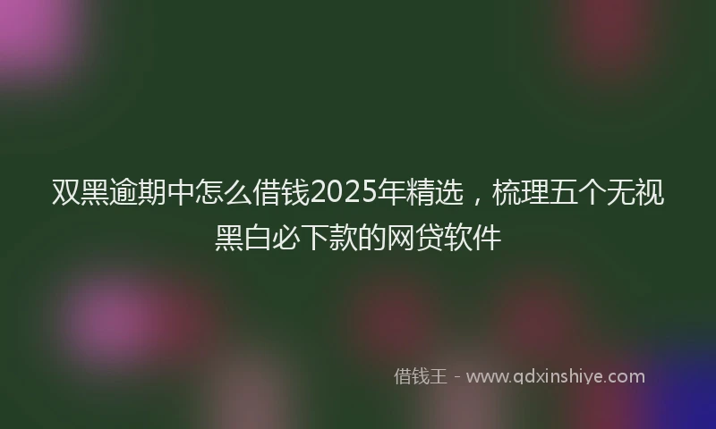 双黑逾期中怎么借钱2025年精选，梳理五个无视黑白必下款的网贷软件