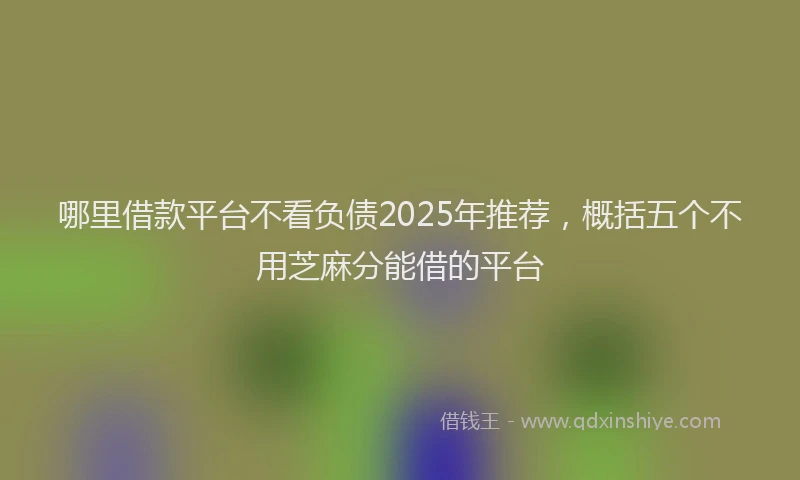 哪里借款平台不看负债2025年推荐，概括五个不用芝麻分能借的平台