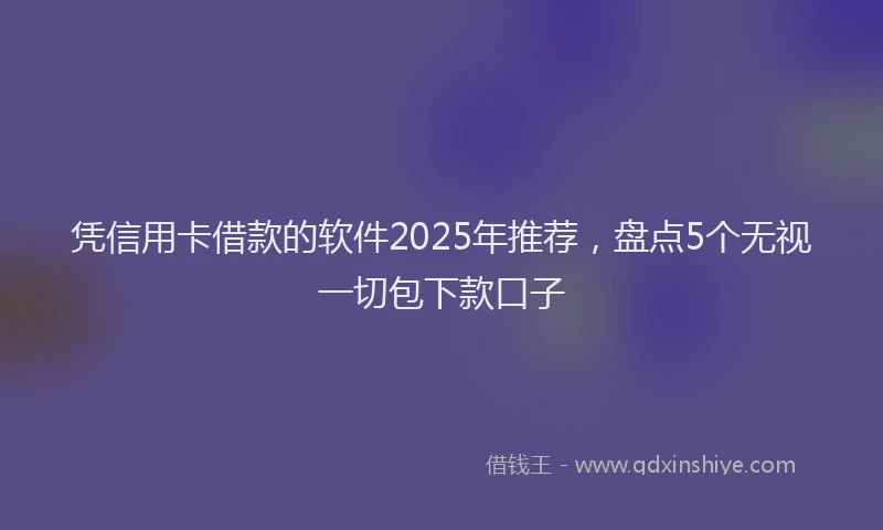 凭信用卡借款的软件2025年推荐，盘点5个无视一切包下款口子