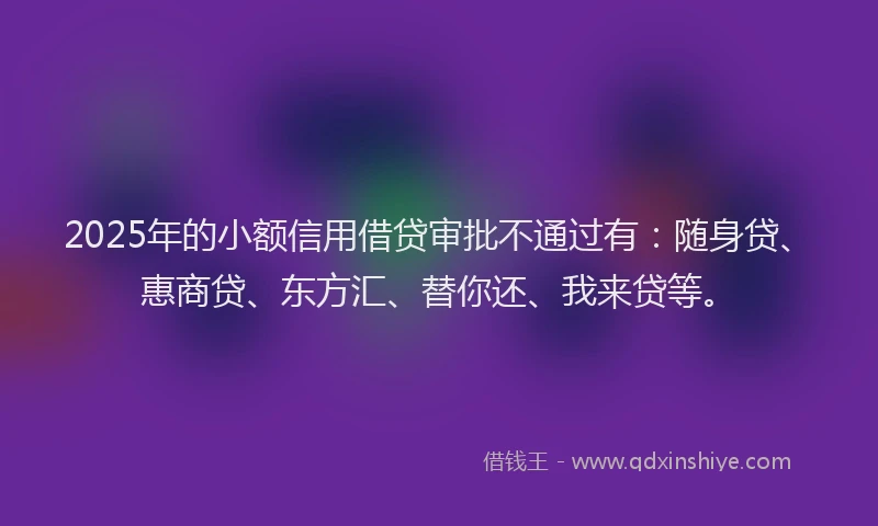 2025年的小额信用借贷审批不通过有：随身贷、惠商贷、东方汇、替你还、我来贷等。