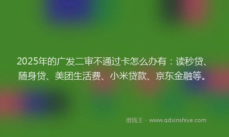 2025年的广发二审不通过卡怎么办有：读秒贷、随身贷、美团生活费、小米贷款、京东金融等。