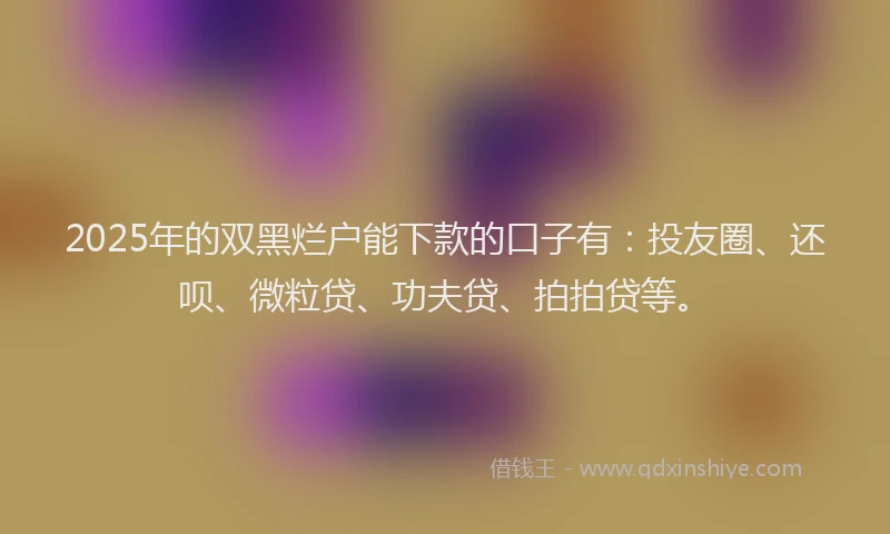 2025年的双黑烂户能下款的口子有：投友圈、还呗、微粒贷、功夫贷、拍拍贷等。