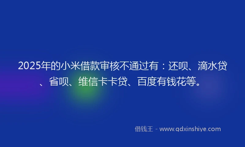 2025年的小米借款审核不通过有：还呗、滴水贷、省呗、维信卡卡贷、百度有钱花等。