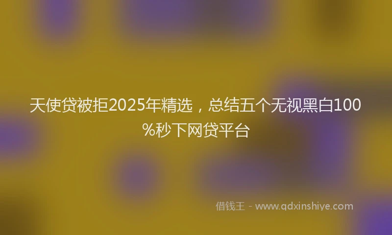 天使贷被拒2025年精选，总结五个无视黑白100%秒下网贷平台